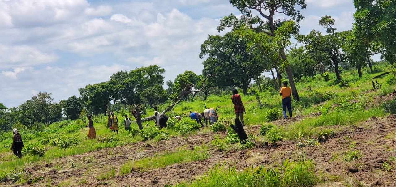 Farming for Livelihood